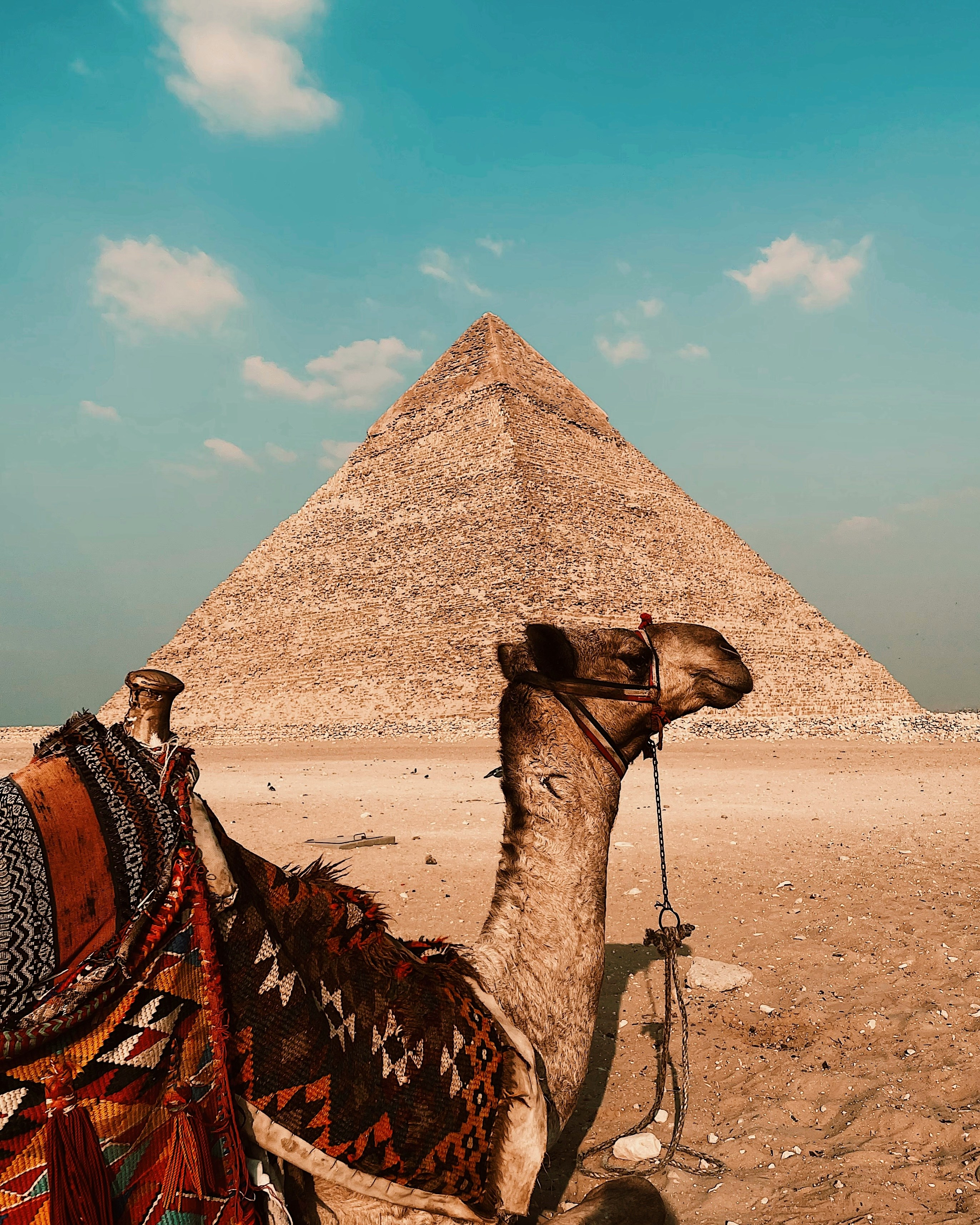 The Great Pyramid