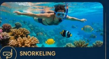 Snorkeling