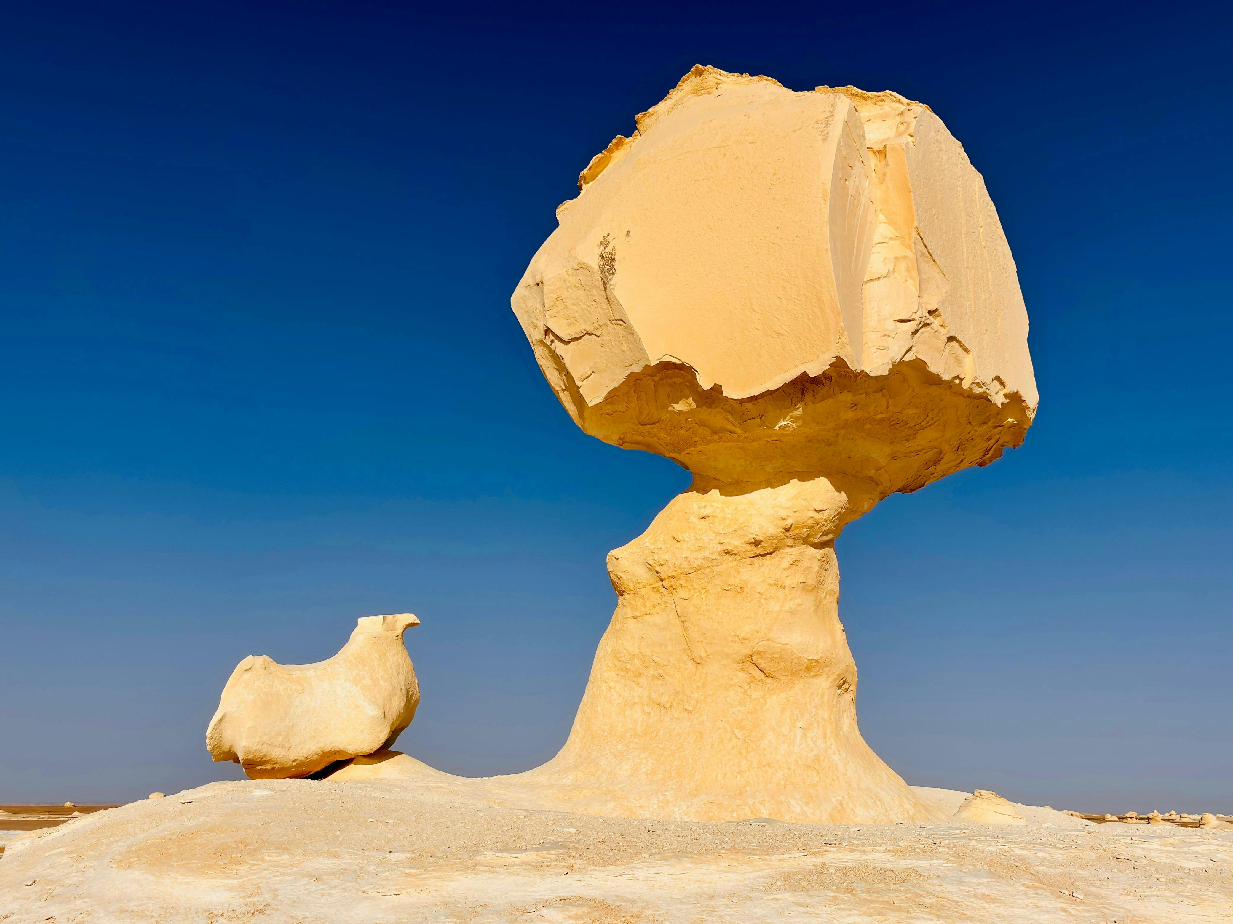 White Desert National Park