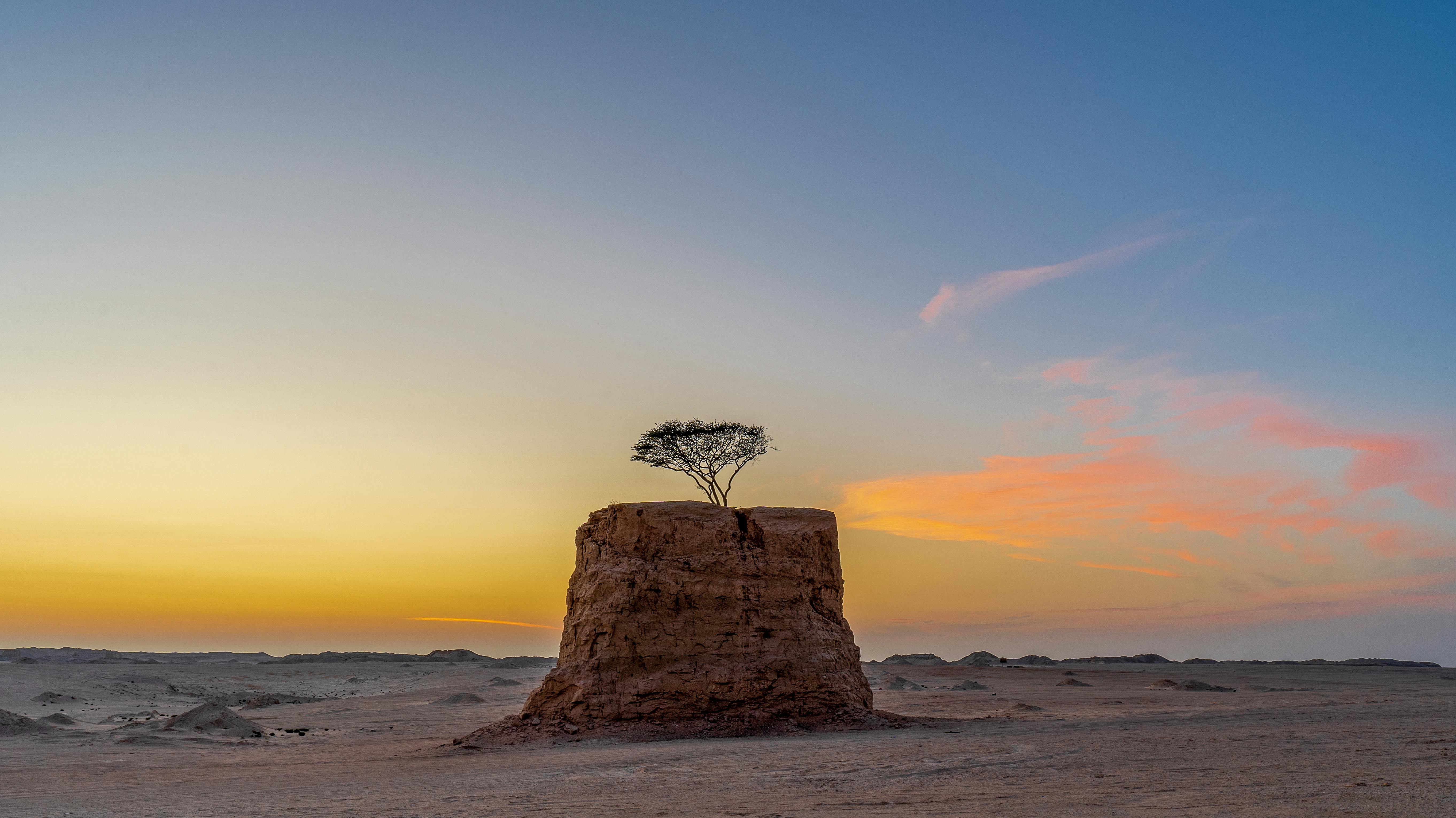 Day 2 : Return from Bahariya Oasis to Cairo