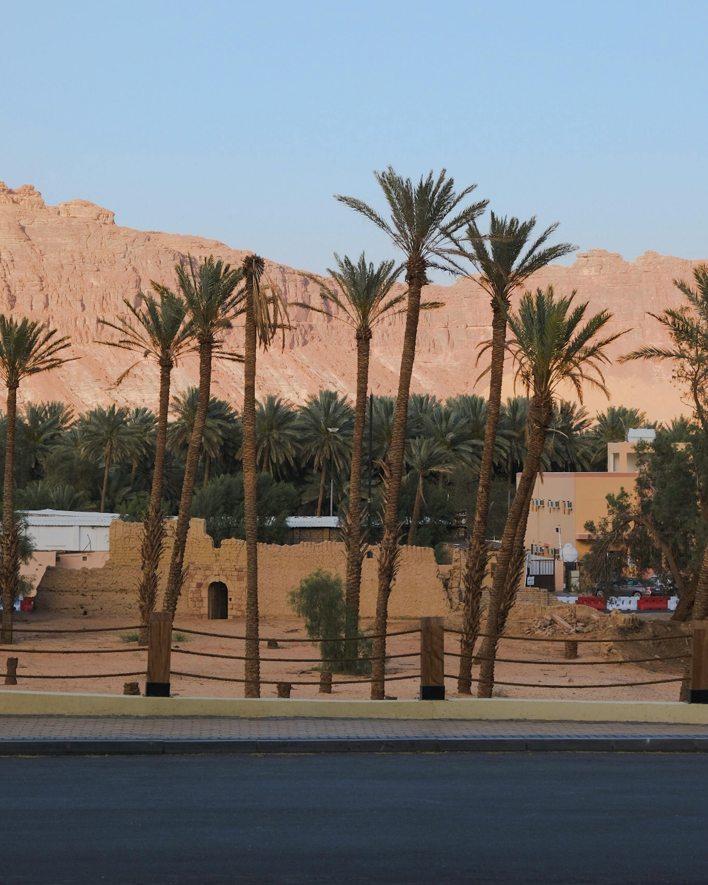 Bahariya Oasis & Return to Cairo