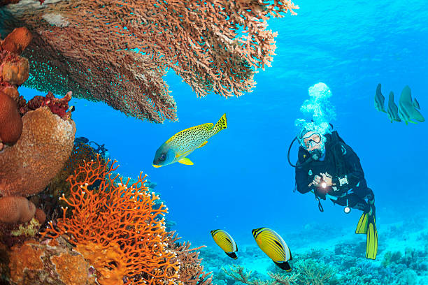 Snorkeling trip on Giftun Island