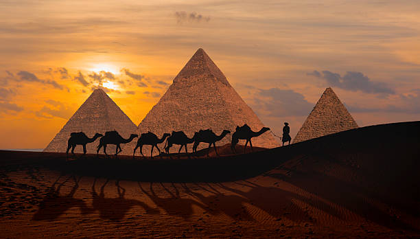 Walking tour to Giza Pyramids & Sphinx with Egyptologist