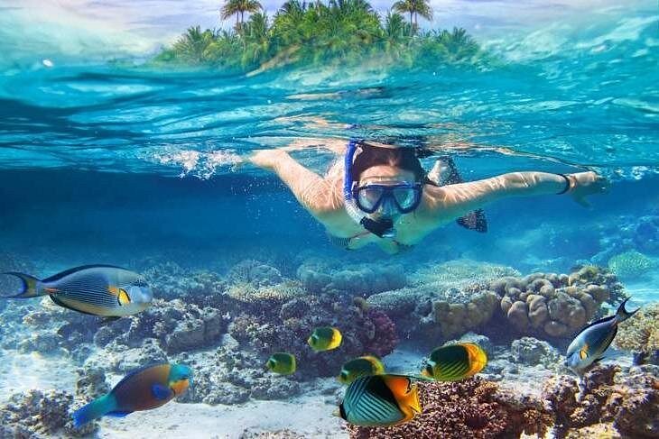 Snorkeling Stops