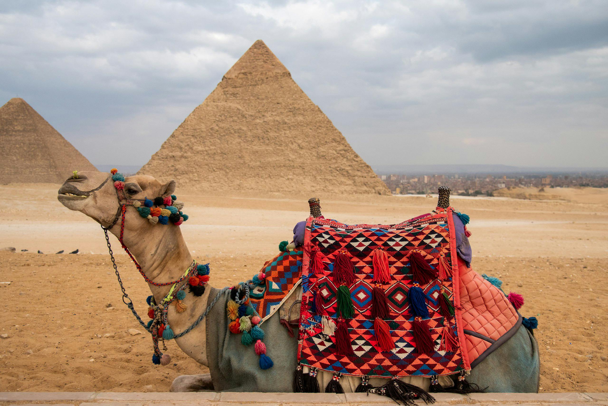 Khafre's Pyramid