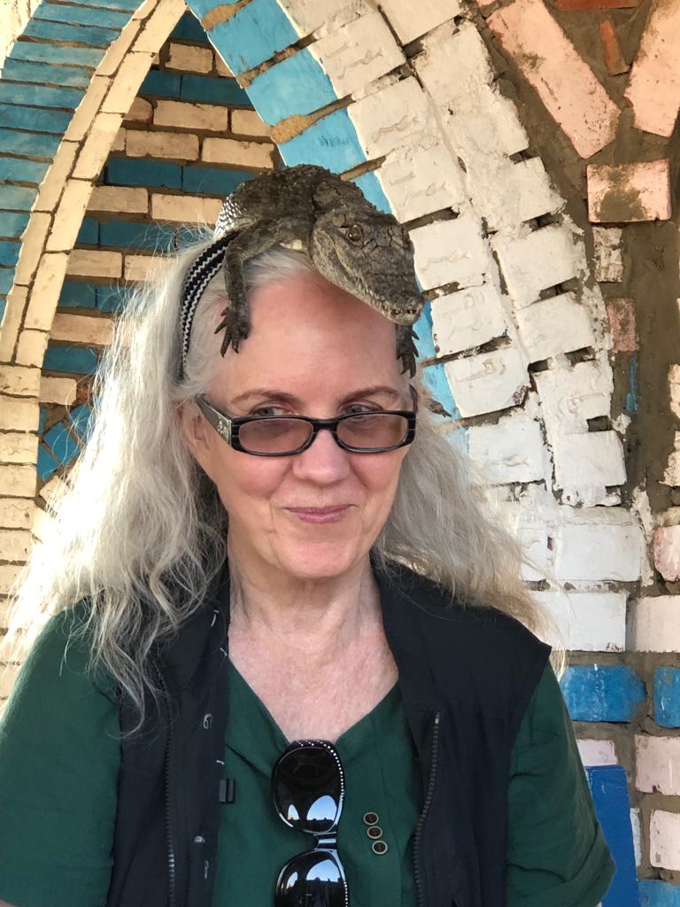 Day 4 – Daraw Market • Nubian Village • Aswan
