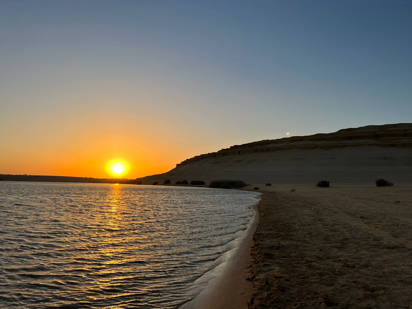 Fayoum Oasis, Wadi El-Rayan & Wadi El-Hitan Day Tour